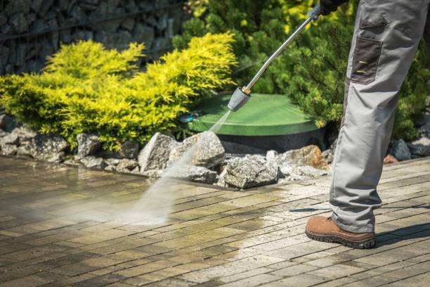 Best Animal Enclosure Cleaning  in Sewanee, TN