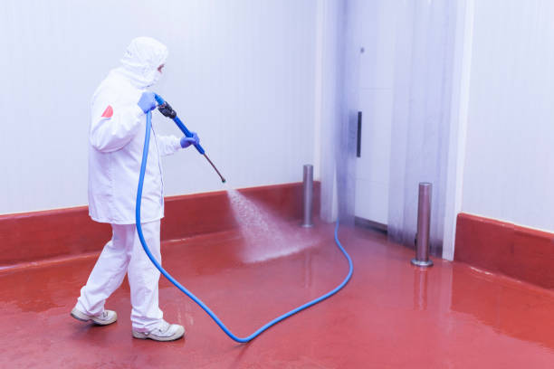 Best Building Exterior Washing  in Sewanee, TN